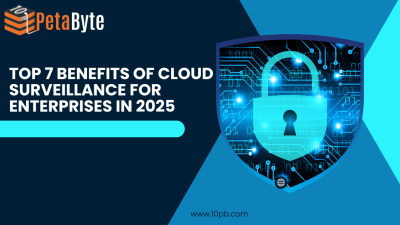 Enterprise cloud surveillance