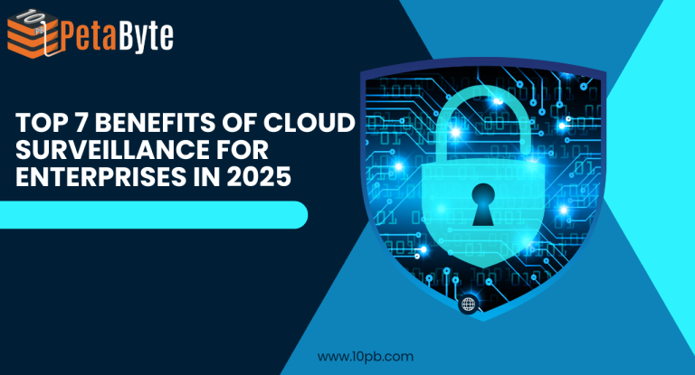 Enterprise cloud surveillance