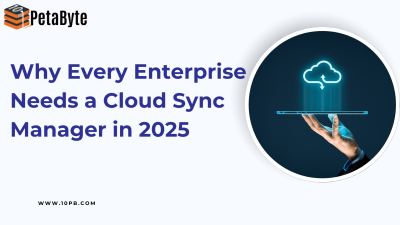 Cloud Sync Manager