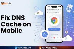 chrome.//net-internals/dns mobile