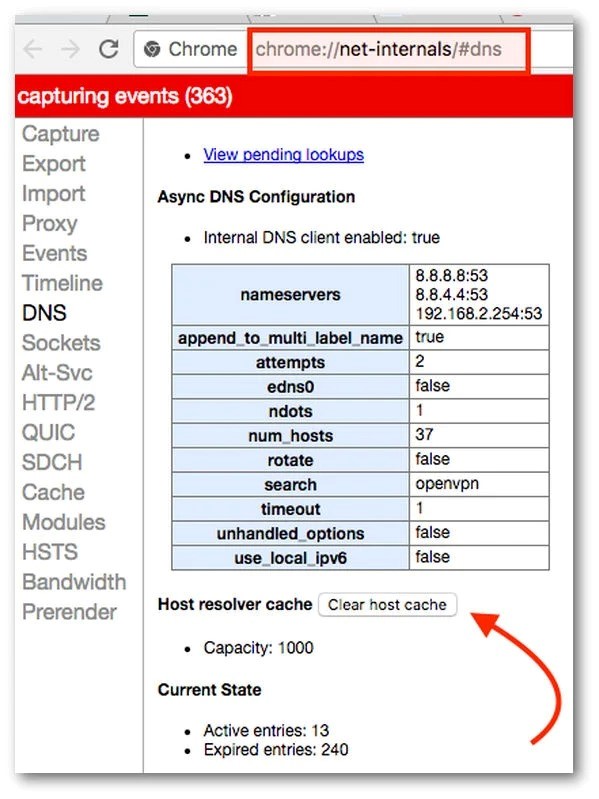 Open Chrome DNS Internal Page