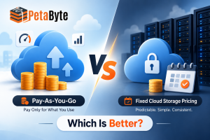 Pay-As-You-Go Vs Fixed Cloud Storage Pricing Which Is Better